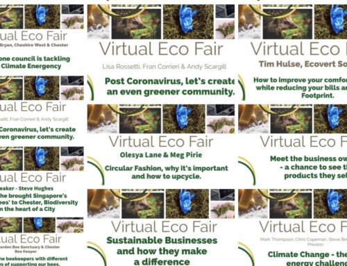 Creating the Sustainable Virtual Fair