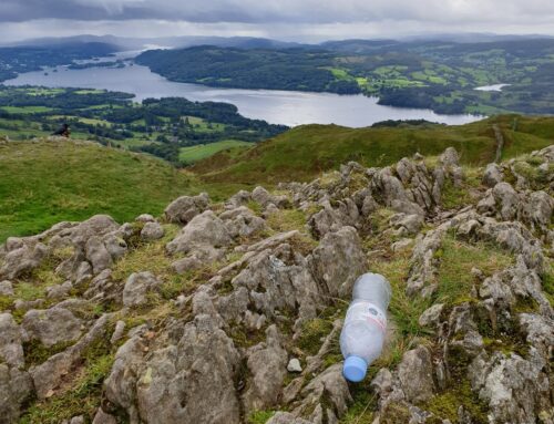 Dealing with litter in a post COVID world.