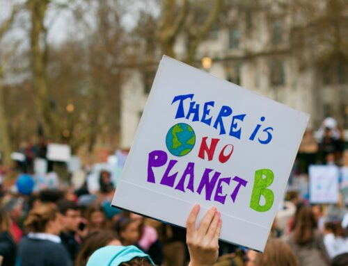 A Nature Emergency, not just a Climate one