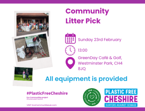 Community Action for a Cleaner Planet: Litter Picking & The Big Plastic Count