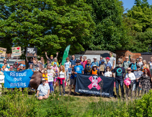 Thousands Join ‘Paddle Out’ Protests to Demand Action on Sewage Scandal
