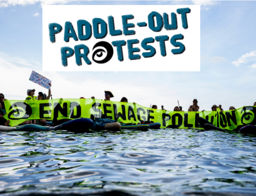 Water Quality is in Crisis – Join the Chester Paddle Out Protest This Saturday