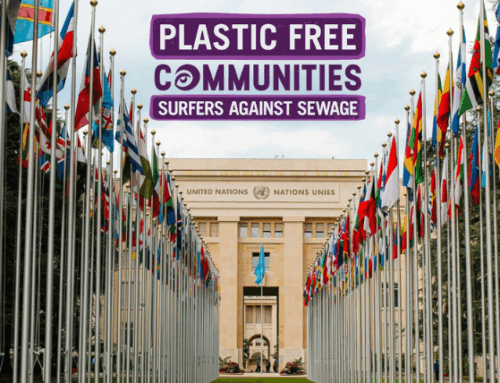 Global Plastic Treaty 2025: The View from Eco Communities & Plastic Free Cheshire