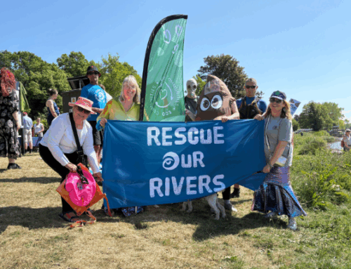 Make a Splash for the River Dee – Dip a Day This October