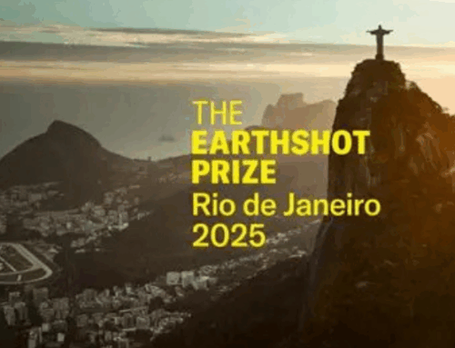 From Problems to Possibilities: How Local Innovation Is Protecting Our Oceans – Earth Shot Finalists 2025