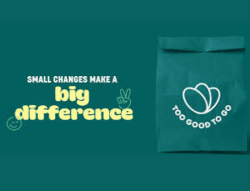 Save Food, Save Money & Make a Difference with Too Good To Go