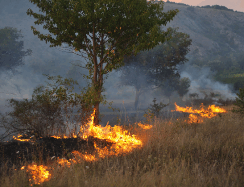 Breaking the CO₂ Ceiling: What the Earth’s Record Spike Means for Our Eco-Community