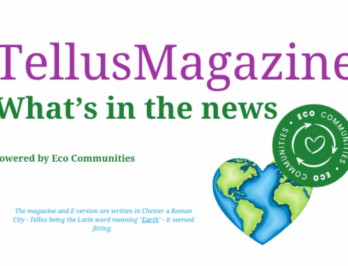 Tellus News 26th October 2025