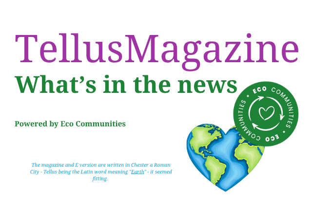 Copy of Tellus Issue4 (Blog Banner) (640 x 428 px)