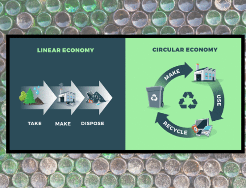 From Policy to People: What the Circular Economy Looks Like in Practice