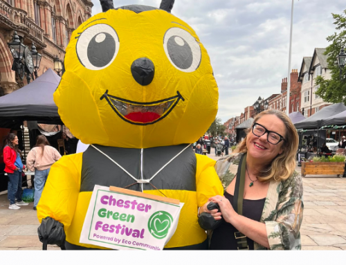 The Morning After: Reflecting on Chester Green Festival 2026
