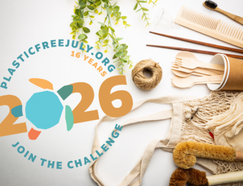 I’m Not Perfect — But here’s what 20 Years of Plastic-Free Living has taught me