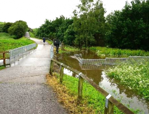 Nature Is in Crisis Nationally — But Cheshire Is Showing What Recovery Can Look Like