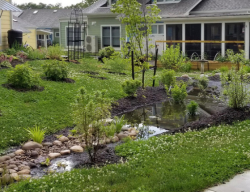From Sewage Spills to Rain Gardens: What you can do at home to help our Rivers